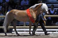 Nordtirol. Pro zv�t�en� klikn�te