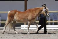 Nejstar�� ��astnice v�stavy, 25 let star� Annette. Pro zv�t�en� klikn�te