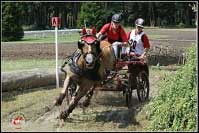 Pro zv�t�en� klikn�te