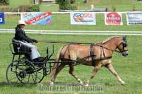 Pro zv�t�en� klikn�te