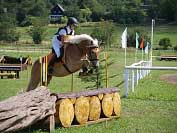 Vrchovansk� v�estrannost. Pro zv�t�en� klikn�te