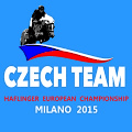 Czech Haflinger Team 2015
