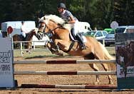 Ilustra�n� fotografie. Pro zv�t�en� klikn�te