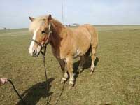 Pro zv�t�en� klikn�te