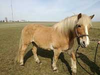 Pro zv�t�en� klikn�te