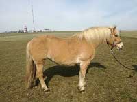 Pro zv�t�en� klikn�te