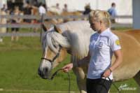 Pro zv�t�en� klikn�te