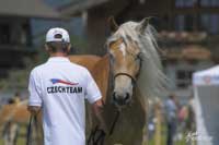 Pro zv�t�en� klikn�te