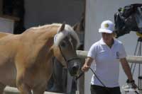 Pro zv�t�en� klikn�te